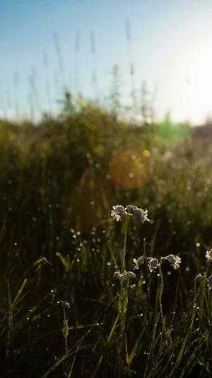 抖音上设计师april黑料截图4