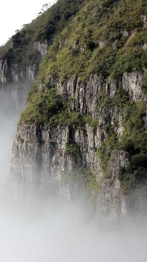 抖音上设计师april黑料截图1